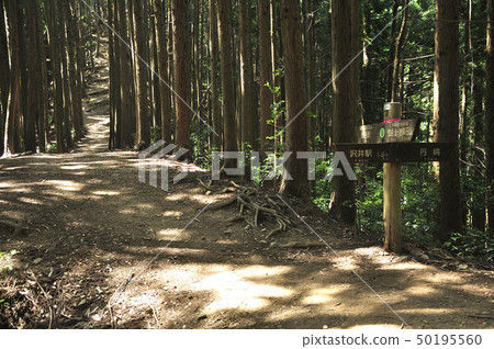 Okutama Miyama Mt. Okutama Miyama Mt. 50195560