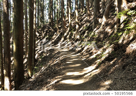 太陽散落在山路上 太陽散落在山路上 50195566