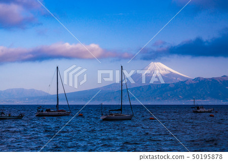 （靜岡縣）從伊豆，富士山過海 50195878