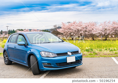 Sakura and import car Sakura and import car 50196254