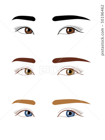 Illustration of the eye 50196462