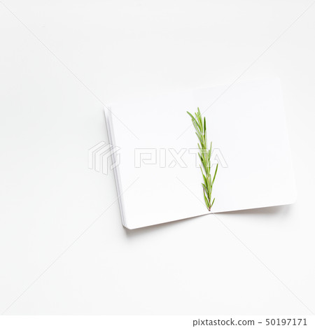 Blank notepad pages with rosemary twig Blank notepad pages with rosemary twig 50197171