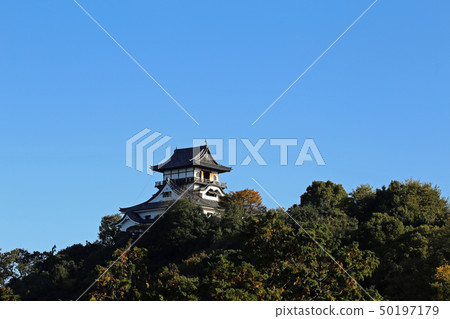 Inuyama城堡在秋末 Inuyama城堡在秋末 50197179