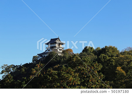 Inuyama城堡在秋末 Inuyama城堡在秋末 50197180