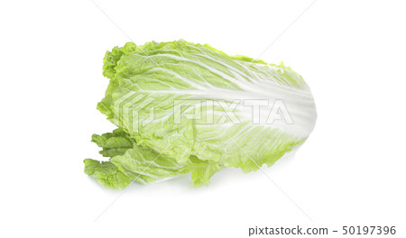 Fresh chinese cabbage on a white background Fresh chinese cabbage on a white background 50197396