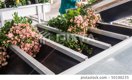 flowers packaging process flowers packaging process 50198235