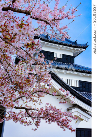  Shirakawa Komine Castle 50198657