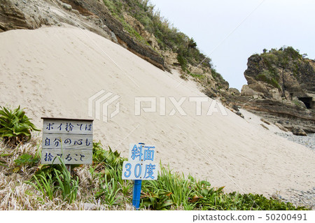 Rice cattle (Toji) sand ski area 50200491