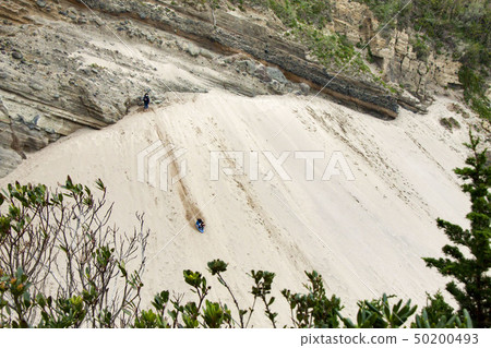 Rice cattle (Toji) sand ski area Rice cattle (Toji) sand ski area 50200493