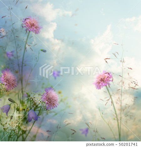 Beautiful floral border on blurred clouds sky Beautiful floral border on blurred clouds sky 50201741