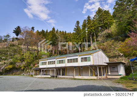 神奈川縣Aone小學體育館 神奈川縣Aone小學體育館 50201747