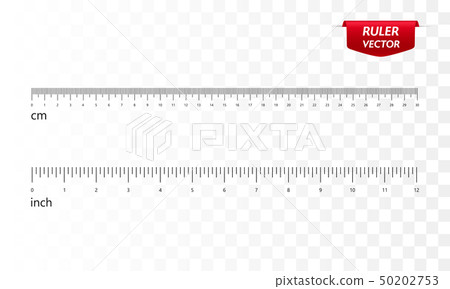 Rulers set, inches and centimeters. Vector  50202753