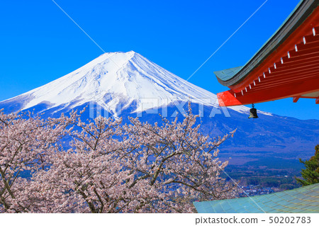 Shin Kurayama Asama Park Sakura and Mt. Fuji 50202783
