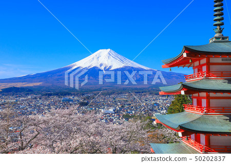 Shin Kurayama Asama Park Sakura和富士山 50202837