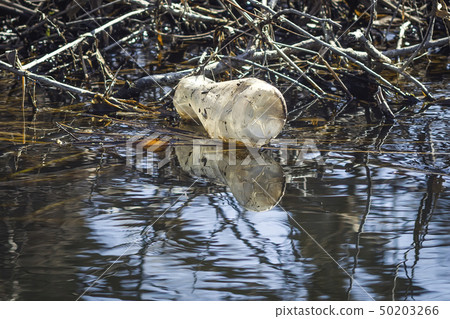 Water pollution, empty plastic bottle. Water pollution, empty plastic bottle. 50203266