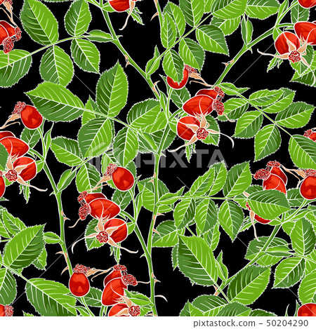 Dogrose Vector Seamless Pattern, Black Background 50204290