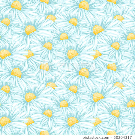 Chamomile or Daisy Seamless Vector Pattern 50204317