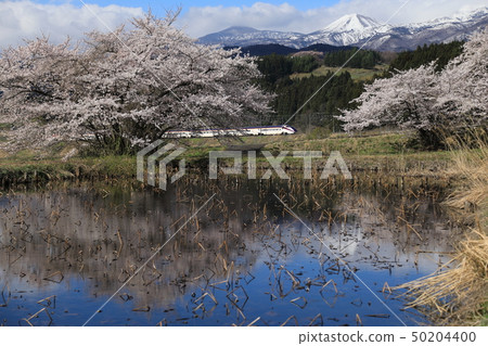 Sakura和Yamagata子彈列車 50204400