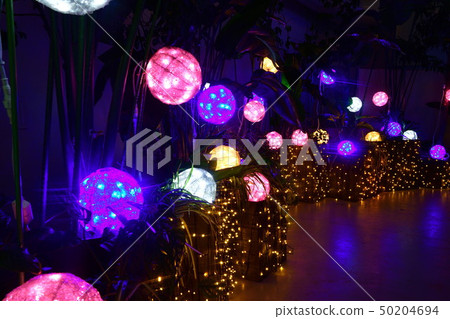 Iku Pia eating flower illumination (Niigata) Iku Pia eating flower illumination (Niigata) 50204694
