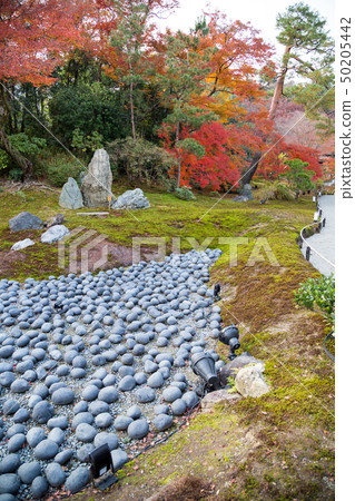 Tenryu寺前的嵐山Rahan石像和秋葉 50205442
