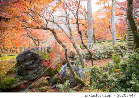 Rocks and pagoda in the garden of the temple of the temple of Tenryu-ji, in autumn Rocks and pagoda in the garden of the temple of the temple of Tenryu-ji, in autumn 50205447