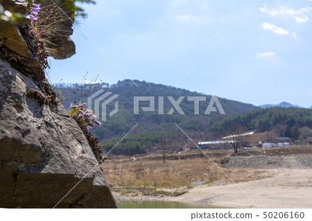 Donggang Halla, Yeongwol-gun, Gangwon-do 50206160