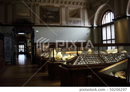 自然歷史博物館(無人大廳) 自然歷史博物館(無人大廳) 50206297