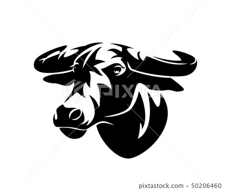 african buffalo bull black vector head - Stock Illustration [50206460 ...