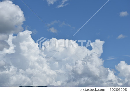 “鯨雲” 50206908