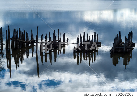 beautiful water landscape with fragments of piles 50208203
