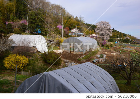 Kamikawa village village spring is Hachioji city 50210006