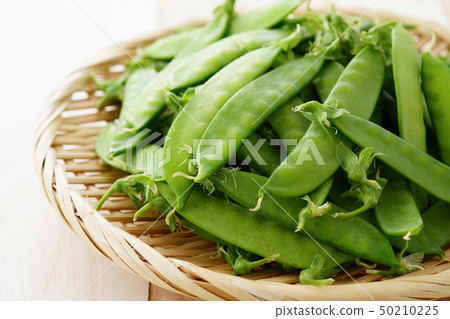 豌豆 豌豆 50210225