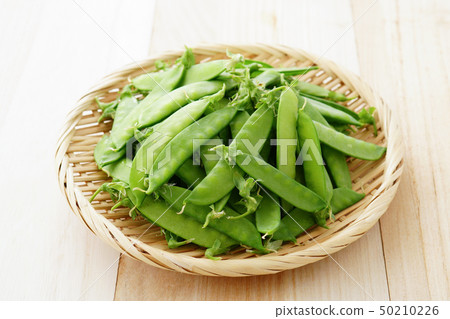 豌豆 50210226
