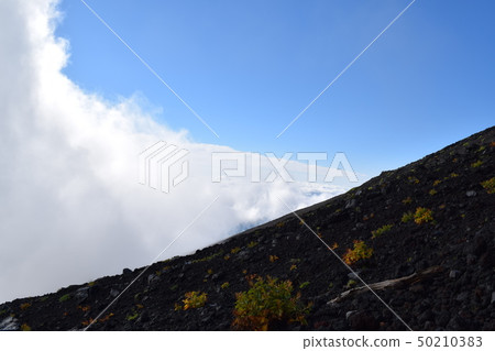 富士山 50210383