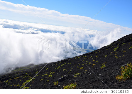 富士山 富士山 50210385