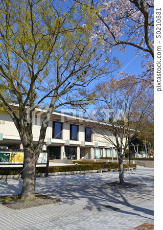 石川縣輪島漆藝術館外觀 石川縣輪島漆藝術館外觀 50210881