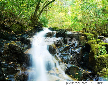 Waterfall Waterfall 50210958