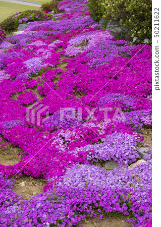 Bongseori Cathedral, Asan City, Chungnam 50211622