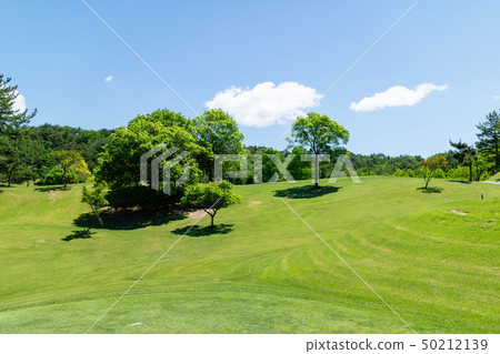 高爾夫球場 50212139