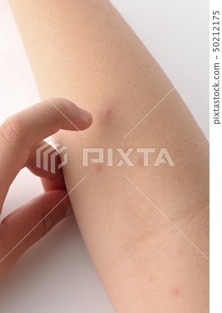 Mizushima Mizushima Mizushima 50212175