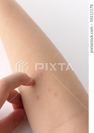 Mizushima Mizushima Mizushima 50212176