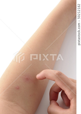 Mizushima Mizushima Mizushima 50212182