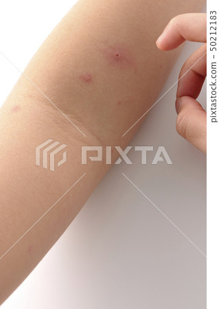 Mizushima Mizushima Mizushima 50212183