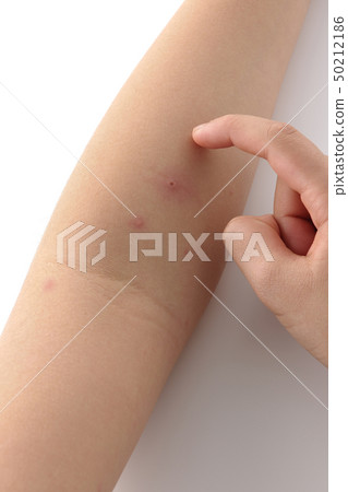 Mizushima Mizushima Mizushima 50212186