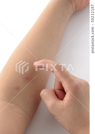 Mizushima Mizushima Mizushima 50212187