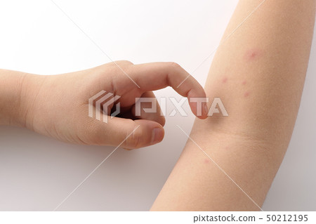 Mizushima Mizushima Mizushima 50212195