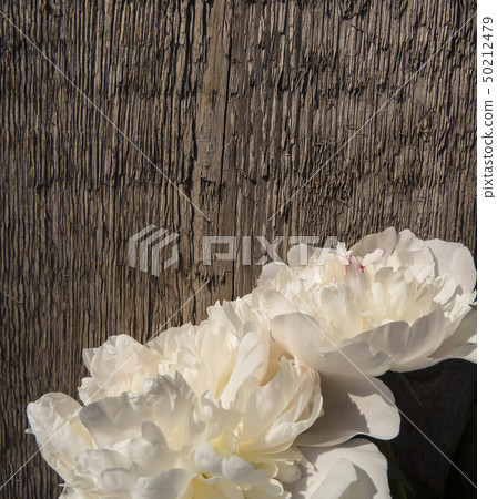 Peonies flowers Peonies flowers 50212479