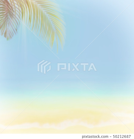 背景 - 熱帶 - 海 - 天空 - 夏天 - 海灘 50212687