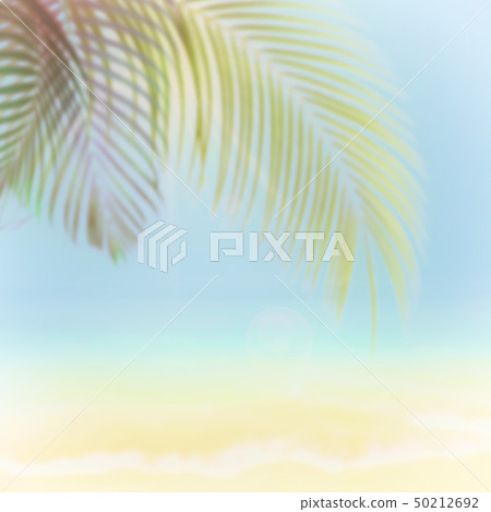 背景 - 熱帶 - 海 - 天空 - 夏天 - 海灘 50212692