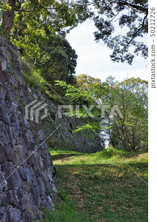 Maruishi-gaki of Tamarujo Kita 50212726